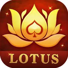 teen patti raja online download